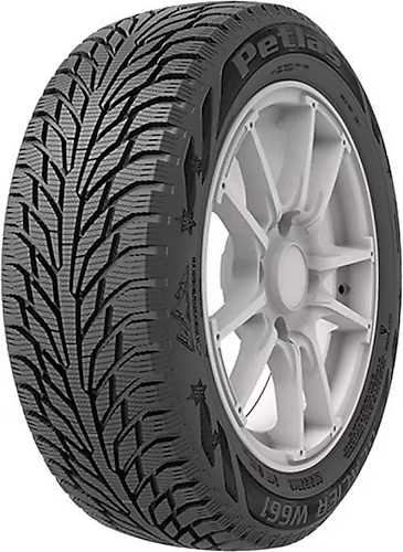 Petlas 205/55R16 91T Glacier W 661